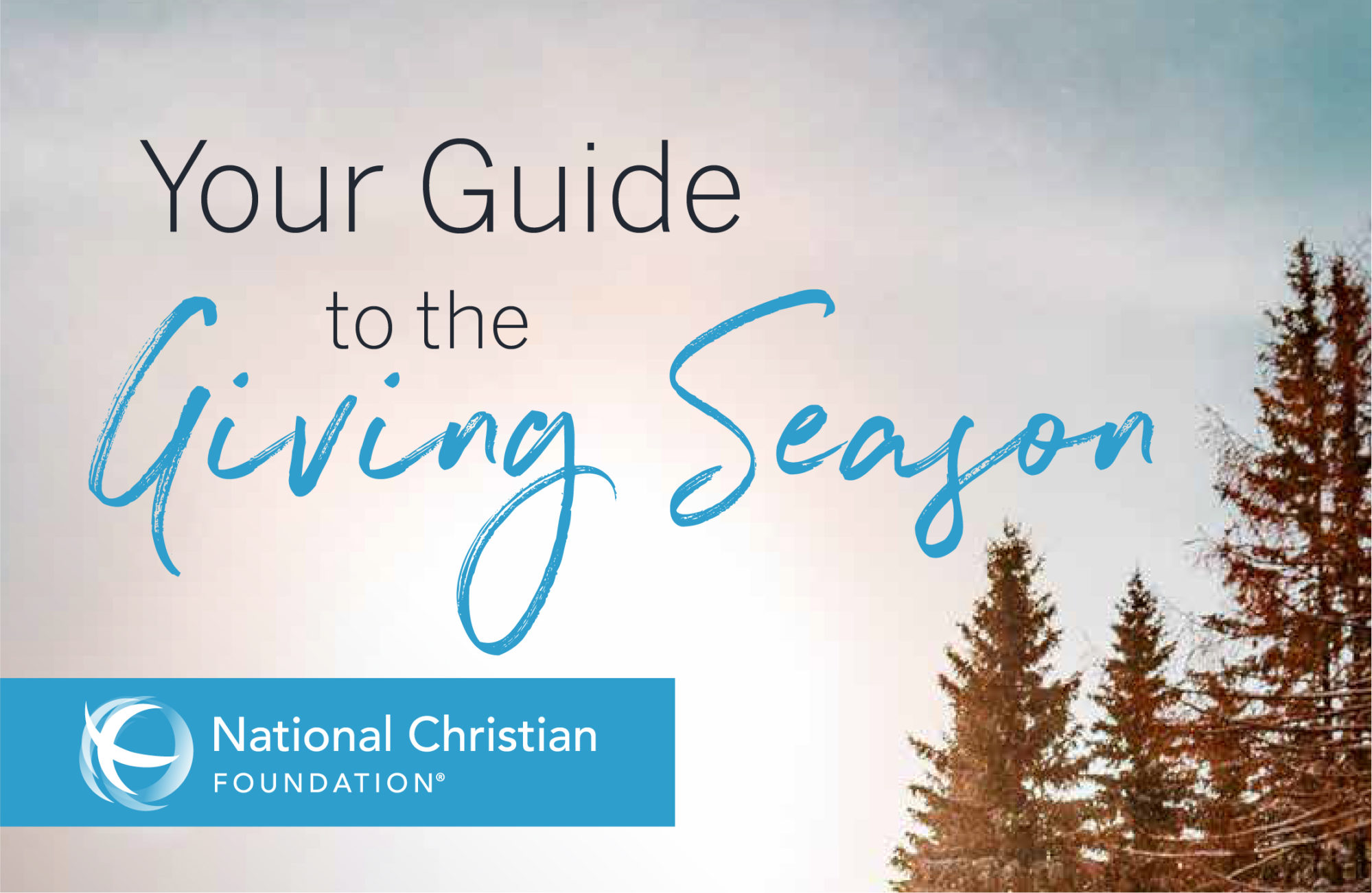 Cover Image for Your Guide to the Giving Season